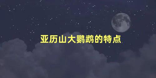 亚历山大鹦鹉的特点