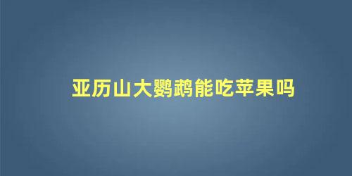 亚历山大鹦鹉能吃苹果吗