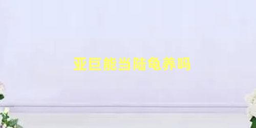 亚巨能当陆龟养吗