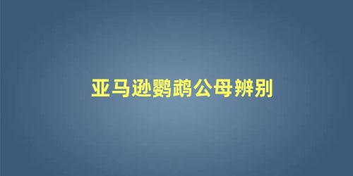 亚马逊鹦鹉公母辨别