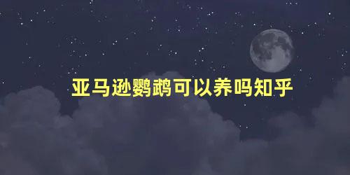 亚马逊鹦鹉可以养吗知乎