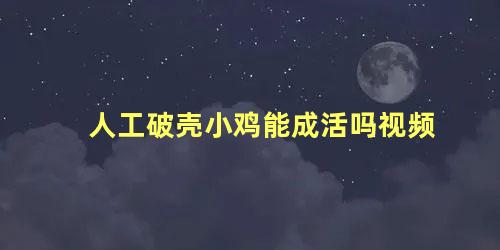 人工破壳小鸡能成活吗视频