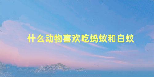 什么动物喜欢吃蚂蚁和白蚁