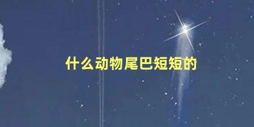 什么动物尾巴短短的