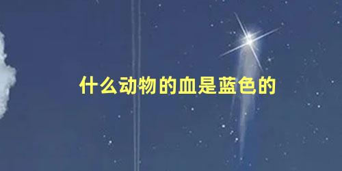 什么动物的血是蓝色的