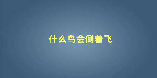 什么鸟会倒着飞