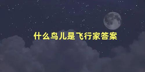 什么鸟儿是飞行家答案