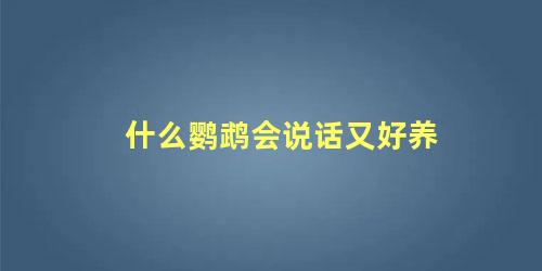 什么鹦鹉会说话又好养