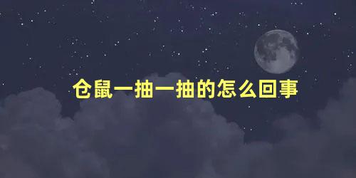 仓鼠一抽一抽的怎么回事