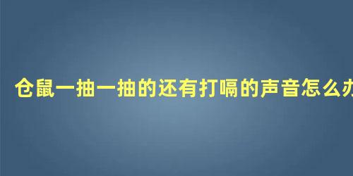 仓鼠一抽一抽的还有打嗝的声音怎么办