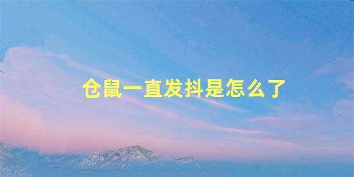 仓鼠一直发抖是怎么了