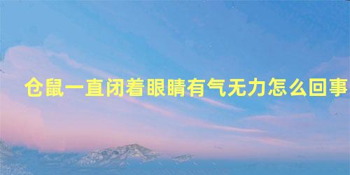 仓鼠一直闭着眼睛有气无力怎么回事