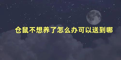 仓鼠不想养了怎么办可以送到哪