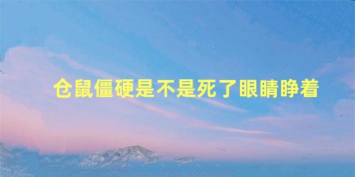 仓鼠僵硬是不是死了眼睛睁着