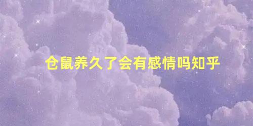 仓鼠养久了会有感情吗知乎
