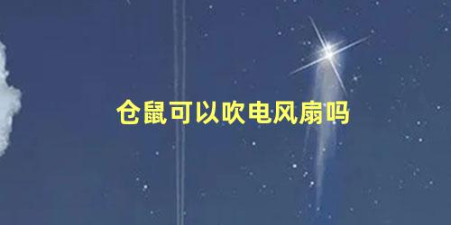 仓鼠可以吹电风扇吗