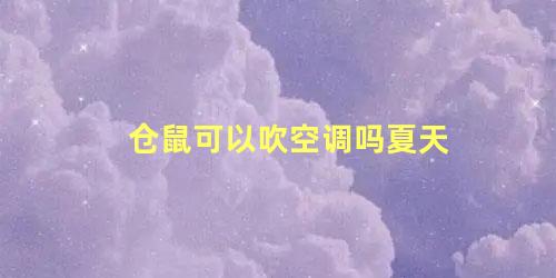 仓鼠可以吹空调吗夏天