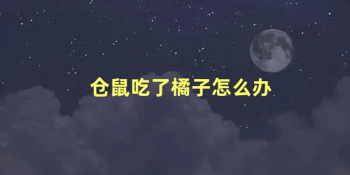 仓鼠吃了橘子怎么办