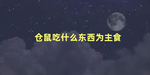 仓鼠吃什么东西为主食