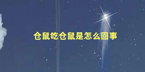 仓鼠吃仓鼠是怎么回事
