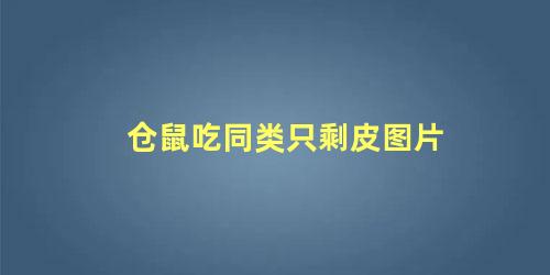 仓鼠吃同类只剩皮图片