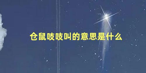 仓鼠吱吱叫的意思是什么