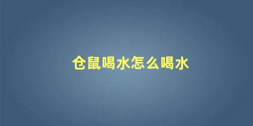 仓鼠喝水怎么喝水
