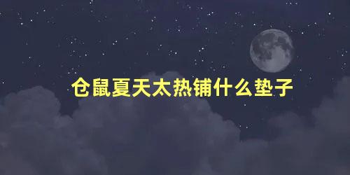 仓鼠夏天太热铺什么垫子