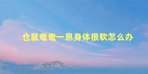 仓鼠奄奄一息身体很软怎么办