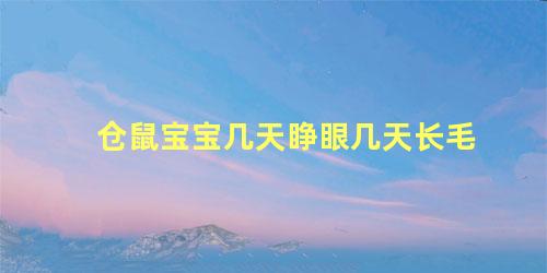 仓鼠宝宝几天睁眼几天长毛