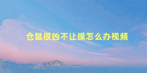 仓鼠很凶不让摸怎么办视频