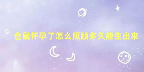 仓鼠怀孕了怎么照顾多久能生出来