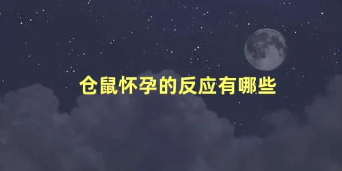 仓鼠怀孕的反应有哪些