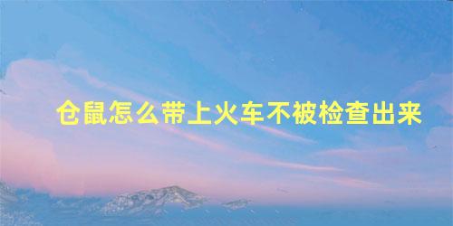 仓鼠怎么带上火车不被检查出来