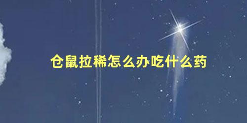 仓鼠拉稀怎么办吃什么药
