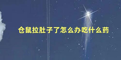 仓鼠拉肚子了怎么办吃什么药