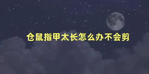 仓鼠指甲太长怎么办不会剪
