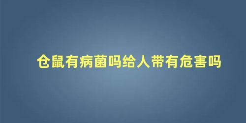 仓鼠有病菌吗给人带有危害吗