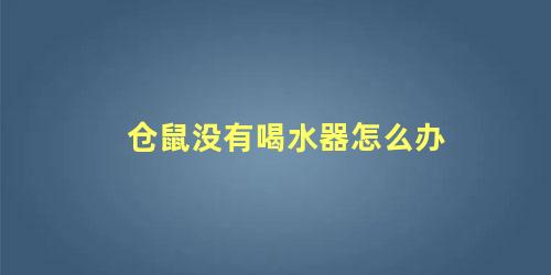 仓鼠没有喝水器怎么办