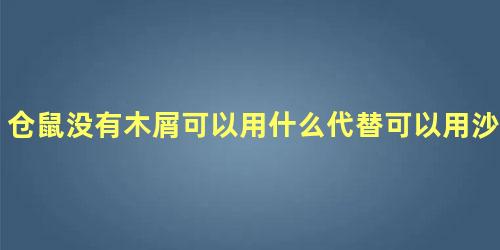 仓鼠没有木屑可以用什么代替可以用沙子吗