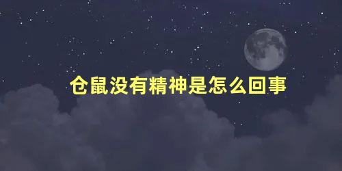 仓鼠没有精神是怎么回事