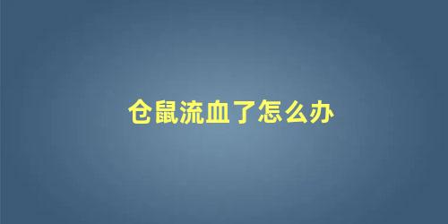 仓鼠流血了怎么办