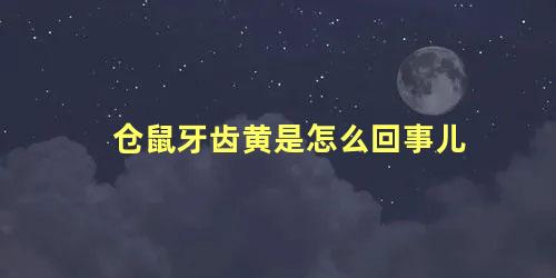 仓鼠牙齿黄是怎么回事儿