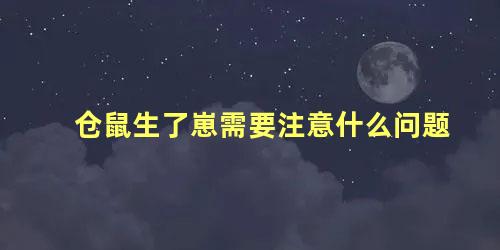 仓鼠生了崽需要注意什么问题