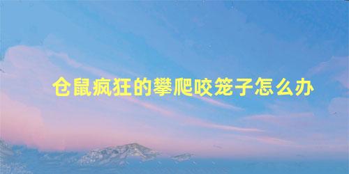 仓鼠疯狂的攀爬咬笼子怎么办