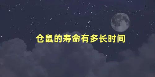 仓鼠的寿命有多长时间