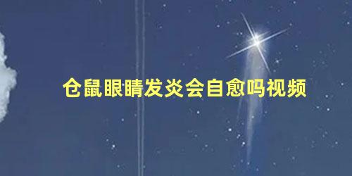 仓鼠眼睛发炎会自愈吗视频