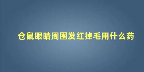 仓鼠眼睛周围发红掉毛用什么药
