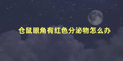 仓鼠眼角有红色分泌物怎么办