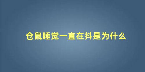 仓鼠睡觉一直在抖是为什么
